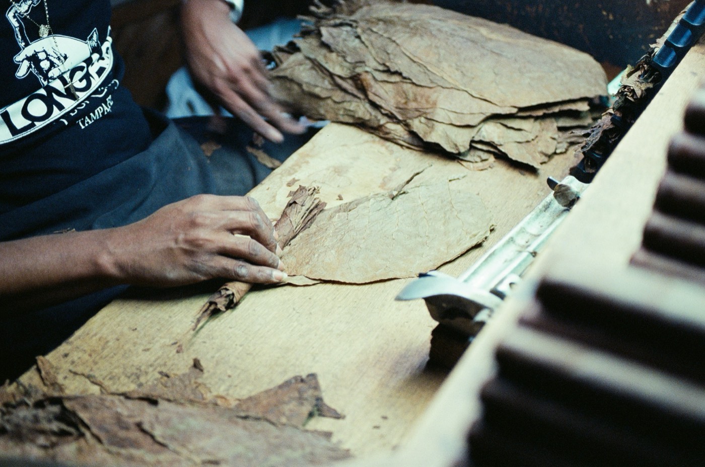 Manos de un productor trabajando hojas secas sobre una mesa de madera